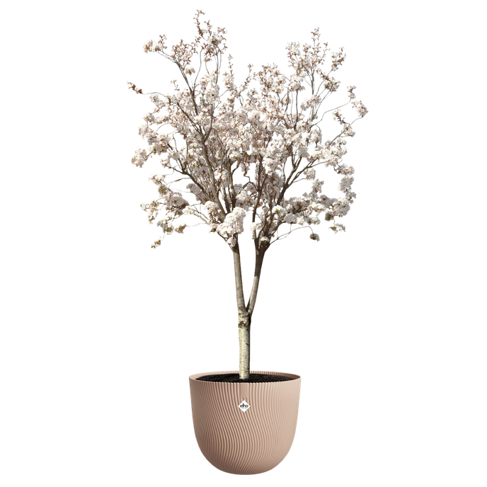 sereh round 47cm cool clay